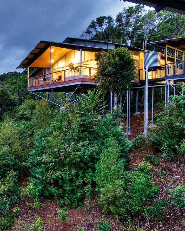 O Reilly S Rainforest Retreat Retreats Scenic Rim Bride